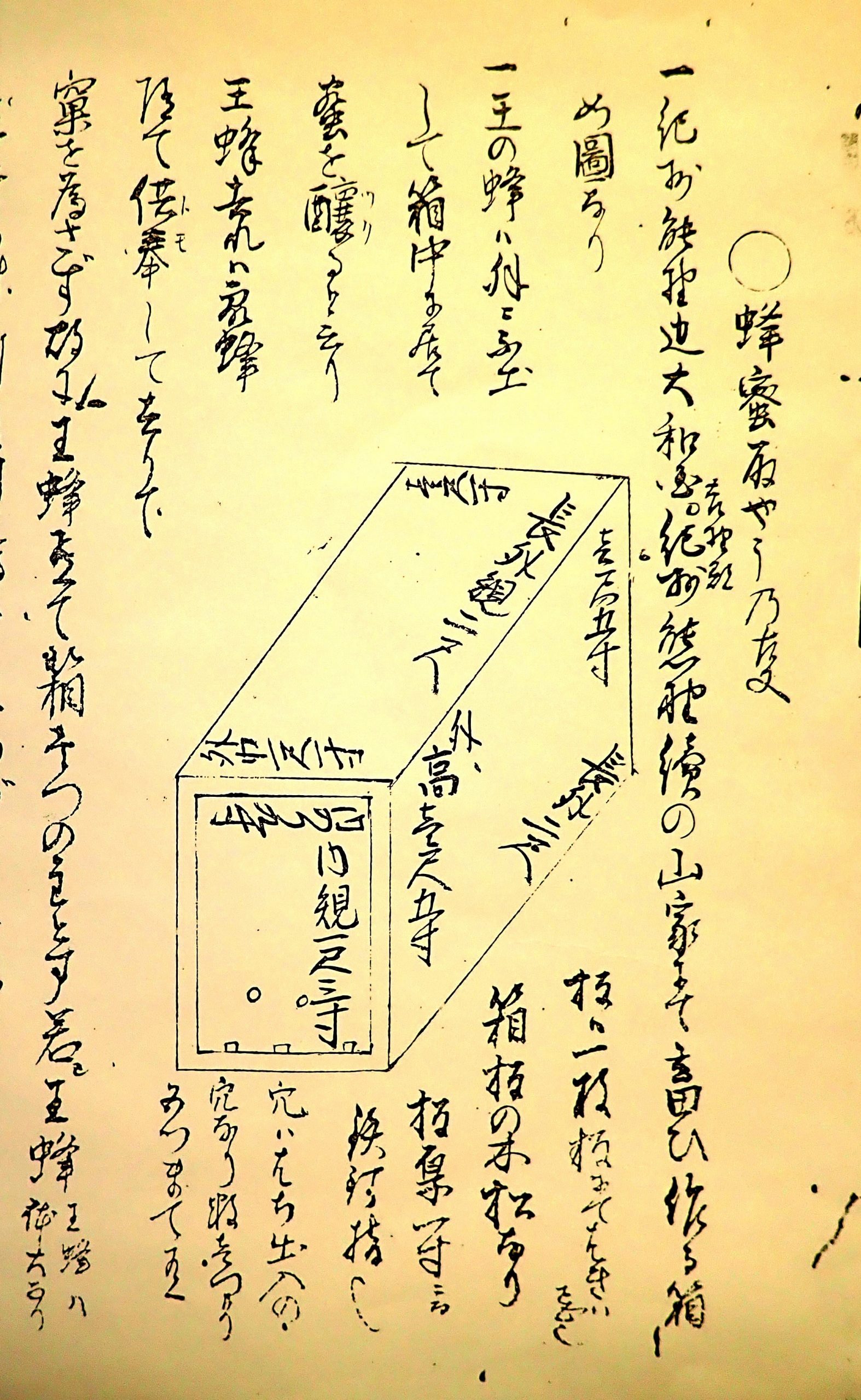 人気SALESALE 百万石と一百姓 学農 村松標左衛門の生涯/清水隆久